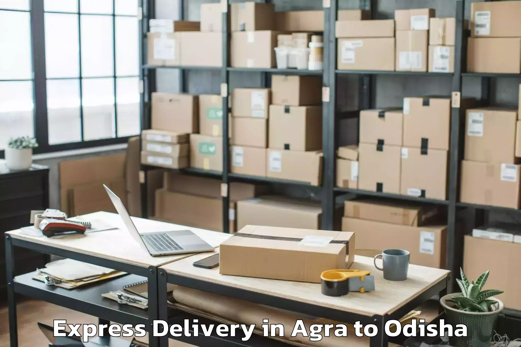 Top Agra to Kesinga Express Delivery Available